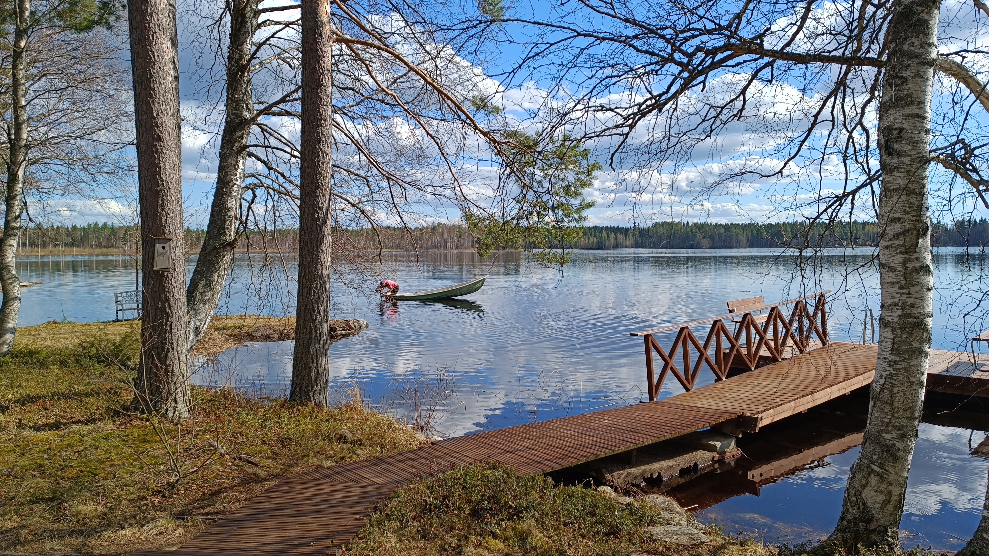 Ennen kevään vehreyttä