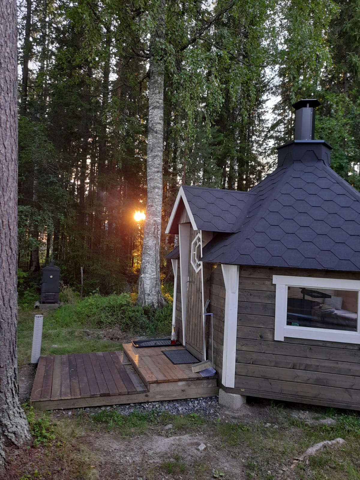 Kota ja ilta-aurinko