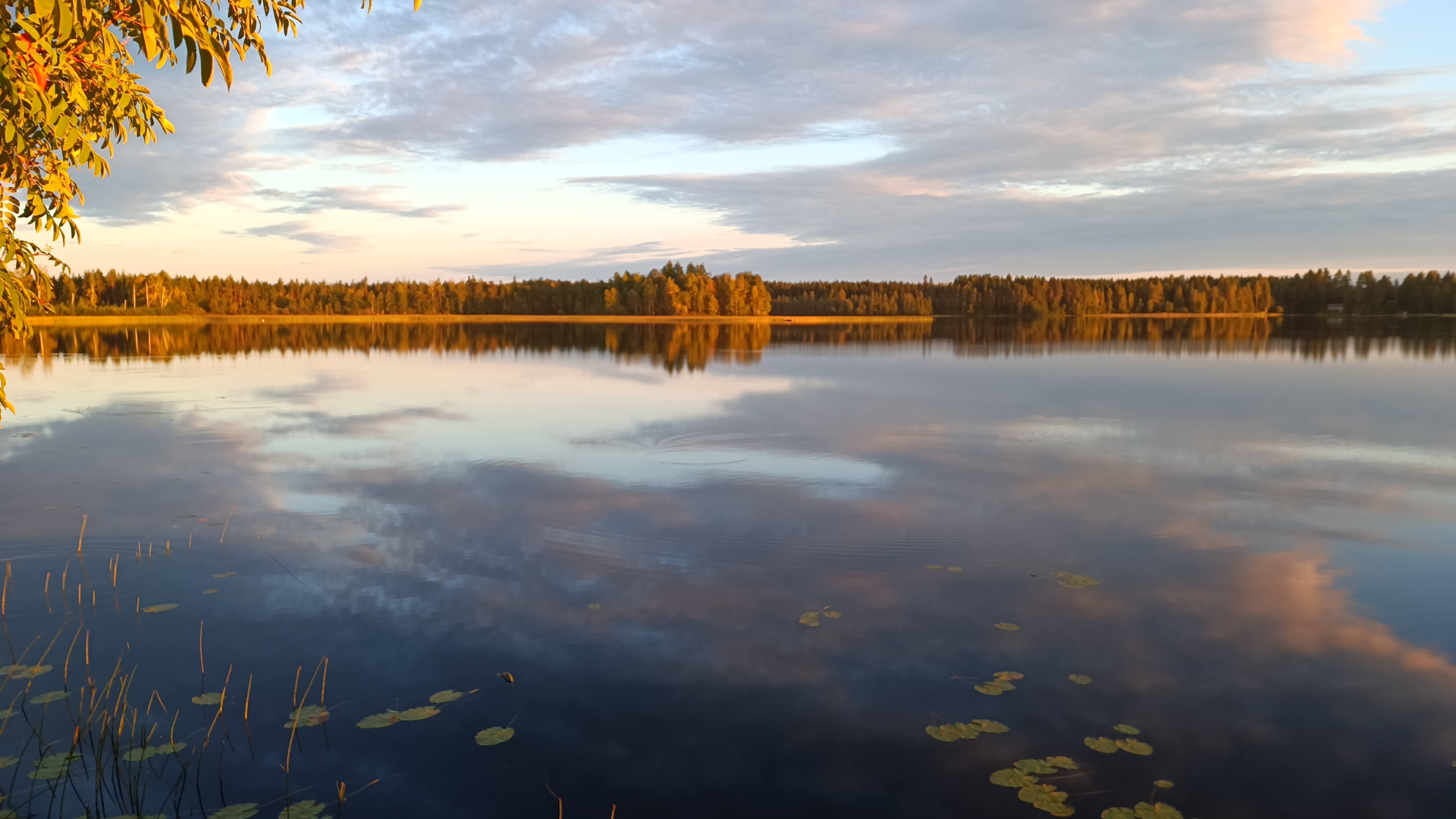Ilta-auringon valossa